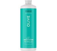 MineTan Professional Spray Tan Solution | Olive - Rapid Express Fake Tanning Liquid, Fast Drying, Dark Olive Bronzed Glow, Best Sunless Tanner, Salon Fomula, 33.8 Fl Oz