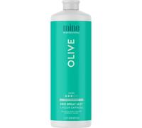 MineTan Professional Spray Tan Solution | Olive - Rapid Express Fake Tanning Liquid, Fast Drying, Dark Olive Bronzed Glow, Best Sunless Tanner, Salon Fomula, 33.8 Fl Oz