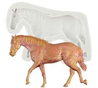 MINFEIDMS Horse Moulds Silicone Horse Fondant Moulds for Sugar Cake Decorating Cupcake Topper Chocolate Gum Paste Candy Polymer Clay