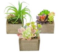 Mingfuxin Artificial Succulents Plants Potted, Mini Assorted Faux Succulents Greenery Decorative Fake Succulents Plants Artificial Plants for Home Office Desk Plants Decor, Set of 3