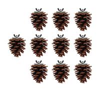 mingzhe Natural Pine Cone Bird Chew Toy Bite with Nut Fix for Parakeet Cockatiel Conure Finch Budgie Macaw, Pure Bird Molar Toy, Multiple Ways To Use