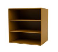 Mini 1004 Bookcase Amber