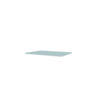 Mini 2004 Top Plate 148-Flint