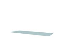 Mini 2005 Top Plate 148-Flint