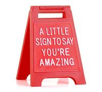 Mini “A Little Sign to Say You’re Amazing” - Cute Motivational Gift for Friends, Coworkers, Teachers, or Loved Ones | Appreciation Desk Sign | Encouragement Gift for Her or Him