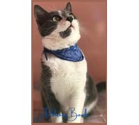 mini address book for cat lover: small address book with cute cat cover,mini phone book for purse,telephone address book tabbed alphabet For Pocket/Handbag