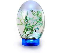Mini Aquarium - Closed Desktop Fish and Shrimp Tank with LED Base - Self-Sustaining for Home or Office