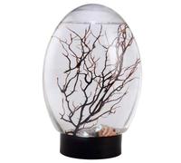 Mini Aquarium Fish Tank Ecosphere Closed Aquatic Ecosystem with LED Light Desktop Aquarium Stable Black Base No Need to Feed or Change Water, Biosphere Ecosystem
