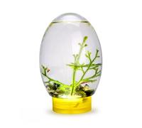 Mini Aquarium Fish Tank Ecosphere Closed Aquatic Ecosystem with LED Light Desktop Aquarium Stable Yellow Base No Need to Feed or Change Water