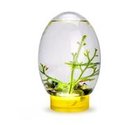 Mini Aquarium Fish Tank Ecosphere Closed Aquatic Ecosystem with LED Light Desktop Aquarium Stable Yellow Base No Need to Feed or Change Water, Biosphere Ecosystem