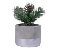 Mini Artificial Frosted Christmas Pine Tree Branches In A Rustic Grey & Silver Concrete Pot - 13 cm (Acorn)