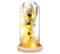 , Mini Artificial LED Sunflower Light in Glass Dome Desktop Ornament Night Light for