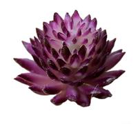 Mini Artificial Succulent Plant Bonsai for Home and Office Decoration, Realistic Simulation for Table and Garden Display (Purple)