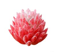 Mini Artificial Succulent Plant Bonsai for Home and Office Decoration, Realistic Simulation for Table and Garden Display (Red)