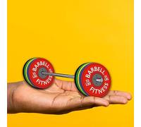 Mini Barbell - Ultimate Gym-Inspired Desk or Shelf Accessory with Removable Weight Plates | Miniature Fitness | 10 Plates