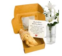 Mini Bear | Bear Stuffed Animal in Box | Handmade Little Animal with Inspirational Card Pocket for Toddler Children Care Graduation Mother Valentine's Day Christmas