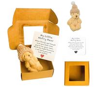Mini Bears Bring a Greeting Card, Cute Worry Bear Hug in a Box, Aesthetically Pleasing Worry Bear in a Box, Suitable for Giving Birthday Commemorative Gifts to Friends Family Children