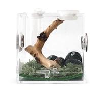 Mini Box | Acrylic Reptile Habitat Cage | Watching Box - for Spiders, Crickets, Snails, Hermit Geckos, Tarantulas, Geckos