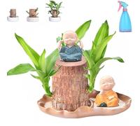 Mini Brazil Lucky Wood, Magical Sprouting Lucky Bamboo Wood, Brazilian Lucky Wood Plant, Hydroponic Potted Plant Stump Small Mini Plant, Air Purifying Plants Indoor (D)