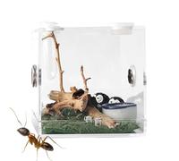 Mini Breeding Box - Acrylic Crawling Food Box for Pets | Transparent Food Storage, Portable Acrylic Reptile Enclosure, Breeding Container with Metal Ventilation Hole for Spider