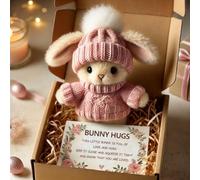 Mini Bunny Hug - A Little Bundle of Love & Comfort, 2025 New Mini Rabbit Positive Plush Animals, Inspirational Easter Gifts for Women Men, Emotional Motivational Bunny Decor (#01)