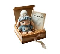 Mini Bunny Hug Cute Easter Gift, 18cm Mini Bunny In A Box, A Little Pocket Bunnies Hugs Cute Easter Rabbit Soft Toy, Handmade Plush Hug Rabbit Doll For Women Men Valentine's Day Family Friend