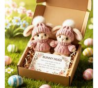 Mini Bunny Hug Cute Easter Gift, 2026 New Emotional Support Positive Crochet Bunny with Inspirational Card, Minis Rabbits in Box, Handmade Plush Pocket Hug Rabbit Doll for Family Friend (Pink*2)