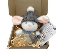 Mini Bunny Hug Cute Easter Gift, Handmade Crochet Bunny Hugs in a Box, Easter Bunny Toy, Pocket Hug Gift for Easter, Cute Plush Rabbit Doll for Kids & Friends (Gray)