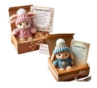 Mini Bunny Hug Cute Easter Gift, Mini Bunny Hug in Box, Emotional Support Positive Crochet Bunny with Inspirational Card, Handmade Plush Pocket Hug Rabbit Doll for Kids Family Friend (2PCS-a)
