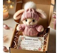 Mini Bunny Hug Cute Easter Gift, Mini Bunny Hug in Box, Emotional Support Positive Crochet Bunny with Inspirational Card, Handmade Plush Pocket Hug Rabbit Doll for Kids Family Friend (1PC-Pink)