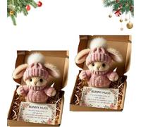 Mini Bunny Hug Cute Easter, Handmade Bunny Hugs in Box, Pocket-Sized Comfort with Knit Hat & Gift Box, for Friends Family (2PCS-PP)
