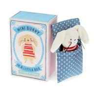 Mini Bunny In A Little Box