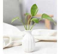 Mini Ceramics Flower Vase Nordic Hydroponics Vases Creative Room Decor Mini Flower Plant Bottle Pots Table Ornament Colorful Vase