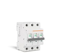 Mini Circuit Breaker AC MCB Short Overload Protector C Curve 35mm Din Rail Mount 30mA 1-4P 6-63A 220V 230V 50/60HZ,practical