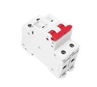 Mini Circuit Breaker, DC Miniature Circuit Breaker MCB 2 Pole C Curve 6KA AC Din Rail 220V-400V 6A to 63A CE CB Approved(50a)
