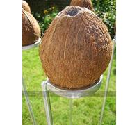 Mini Coconut Shy set. 3 coconut shy posts and 10 wooden balls