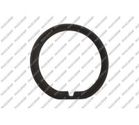 PRASCO MN7041239 Bumper moulding