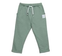 Mini Cuddles Baby Boys Joggers With Dinosaur Applique, Green - 3-6 Months