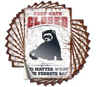 Mini Decal Aesthetic Decals, Teen Boys Room Decor Cute Pattern Design for Billiards Notebook | Hard Removable Vinyl Keep Gate Closed No Matter What The Ferrets Say(6X9CM)