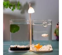 Mini Desktop Glass Fish Tank with LED Light - High Transparency Small Aquarium for Beginners, Thickened Portable Design, Ideal Room Decoration and Ornament