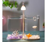 Mini Desktop Glass Fish Tank with LED Light - High Transparency Small Aquarium for Beginners, Thickened Portable Design, Ideal Room Decoration and Ornament