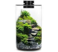 Mini Desktop Glass Plant Terrarium with Grow Light - Planter for Succulent Moss Miniature Gardening Landscape, Fish Tank Indoor Plant Growth Office Home Decoration Plant Lovers Gifts