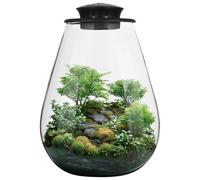 Mini Desktop Glass Plant Terrarium with Grow Light - Planter for Succulent Moss Miniature Gardening Landscape, Small Fish Tank, Indoor Plant Growth, Office Home Decoration, Plant Lovers Gifts