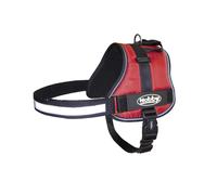 Mini dog harness Nobby Pet Seguro