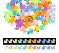 Mini Ducks 100 Pack, 10 Colors Glow in the Dark Ducks with Stickers Tiny Ducks Little Ducks Mini Resin Ducks Small Ducks Miniature ducks for Party Decorations Aquarium Garden Landscape Dollhouse