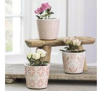 Mini Dutch Pot, 1x Rose Pink & White Crackle Glazed Terracotta Plant Pot - 3 Styles (Sold Individually), Rustic Plant Pot Cover, Succulent Planter, Terracotta Pot (Floral Leaves)