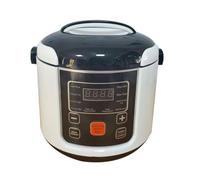 Mini Electric Rice Cooker 2L With Keep Warm Function - Suitable for 2-4 People (24V)