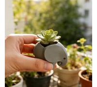 Mini Elephant Planter Pot, Cute Succulent Planter, Small Animal Shaped Flower Pot for Air Plants, Cactus, Home Office Desk Windowsill Decor, Unique Gift for Plant Lovers