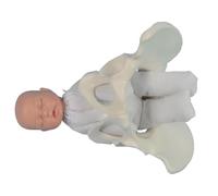 Mini Female Pelvis and Baby Model for Childbirth Simulation Educational Medical Model for Teaching and Study Display
