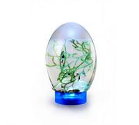Mini Fish Tank, Small Desktop Aquarium with LED Light, Self Sustaining Ecosystem, No Need to Feed Or Change Water Desktop Fish Bowl, Biosphere Ecosystem, Fish Bowl for Home Office (blue)
